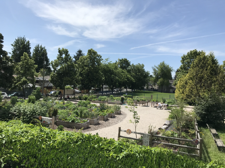 Still Creek Community Garden.