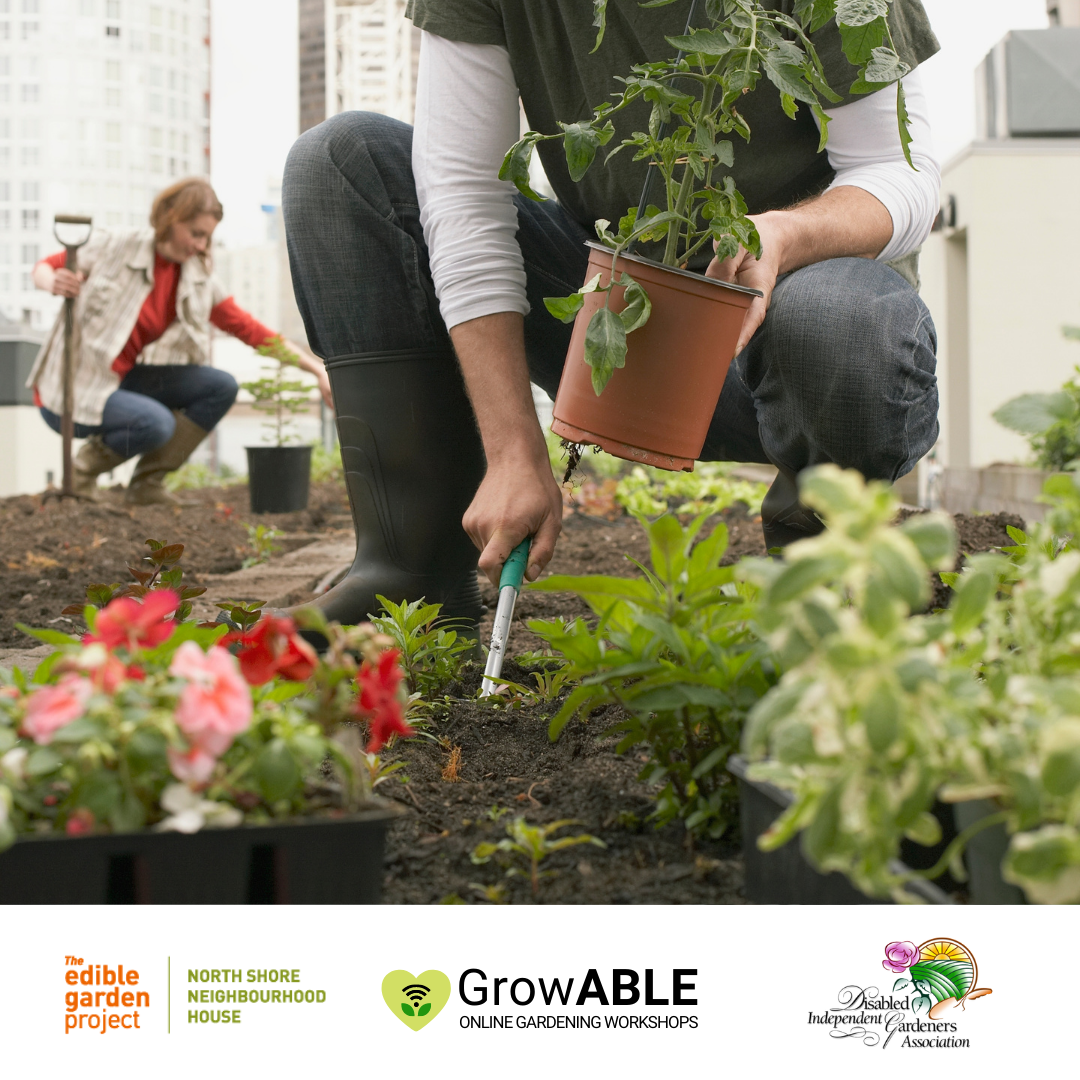 Man planting .(the edible garden project logo. Growable logo. DIGA logo.).