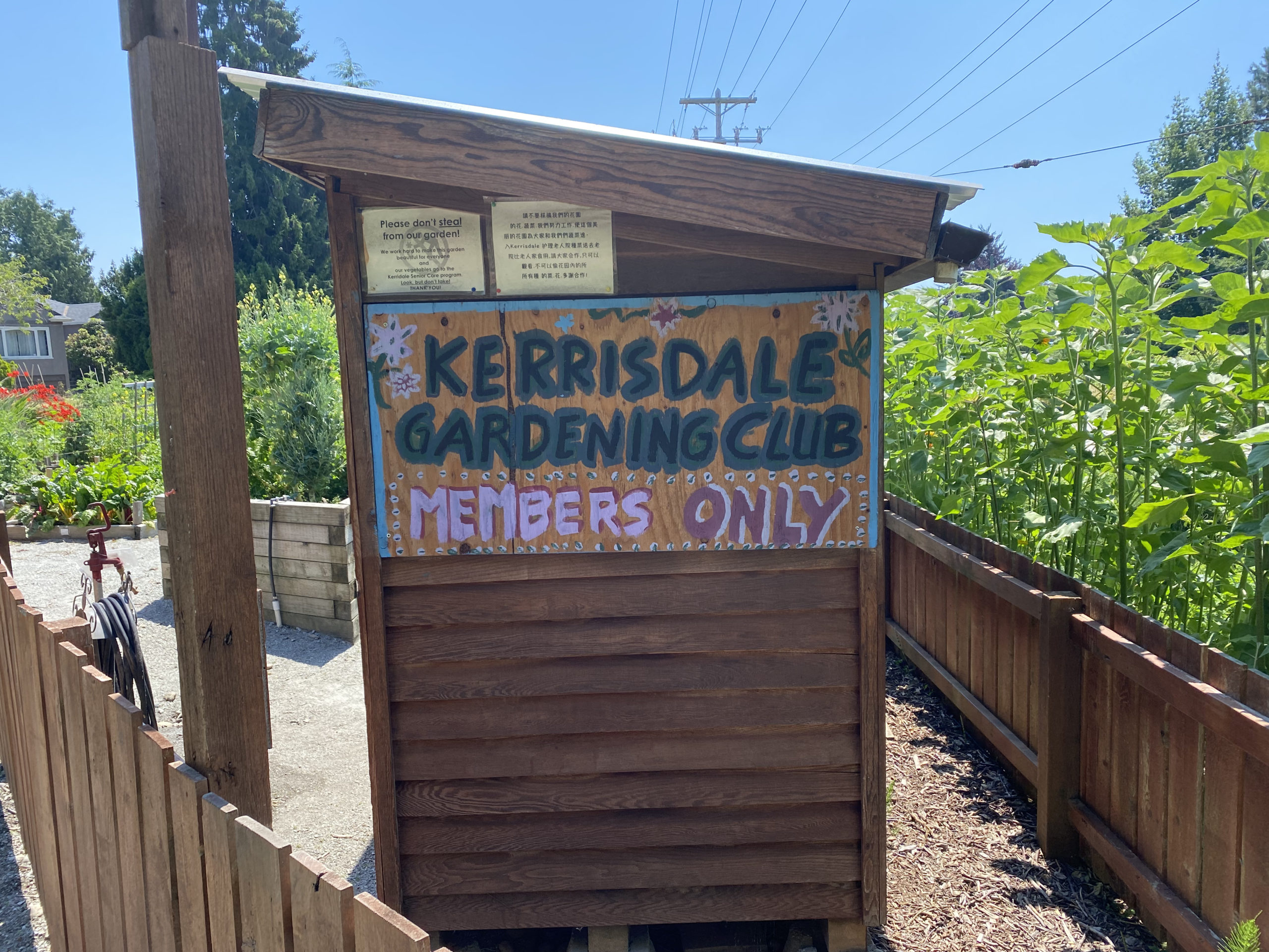 Hand painted Kerrisdale Gardening club sign in from of the garden.