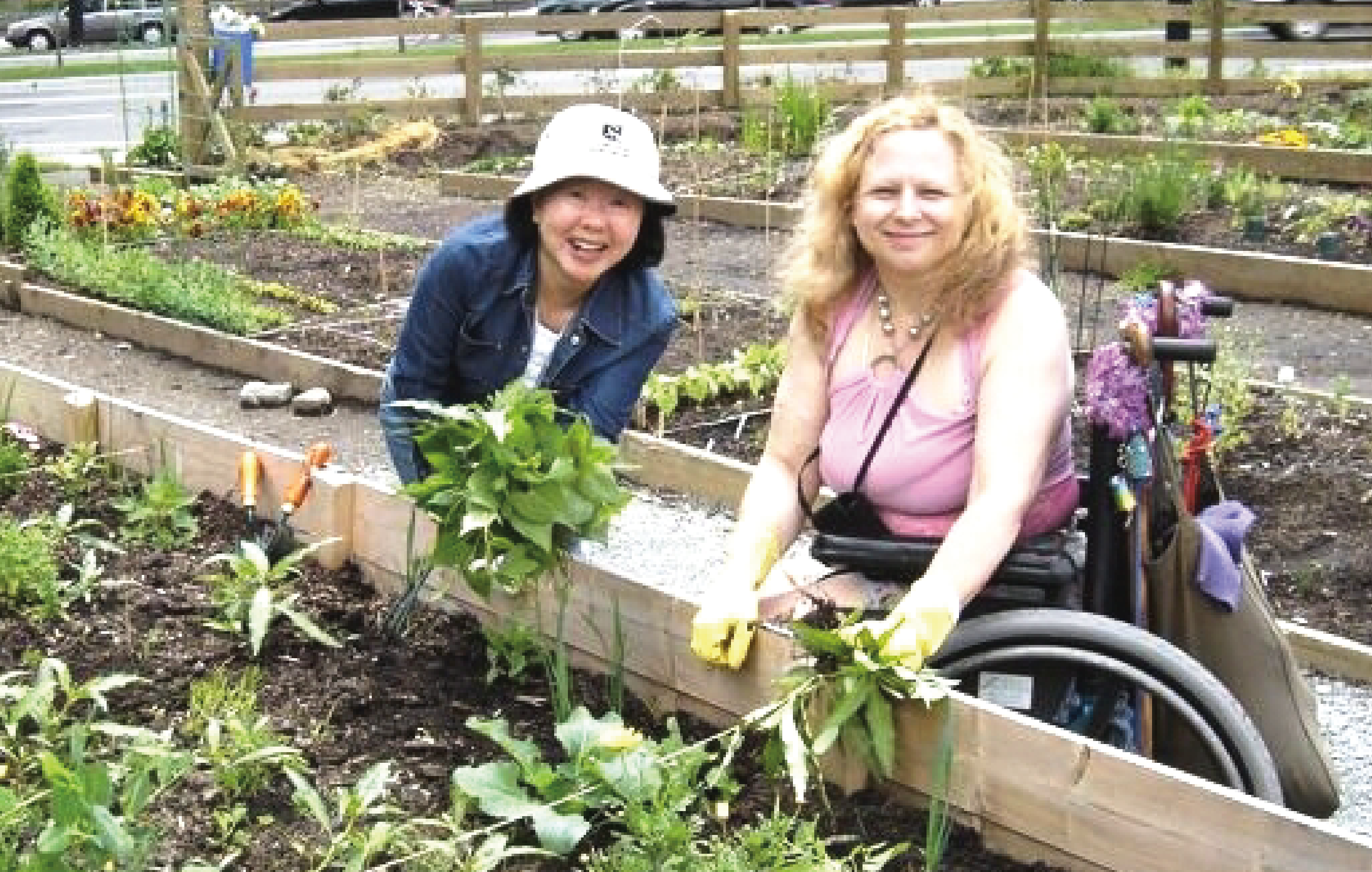 Volunteer and member gardening.