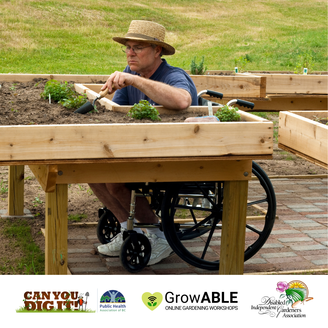 Man in wheelchair uses a shovel to work on his garden outside.